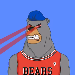 Beard Bear #737
