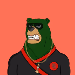 Beard Bear #528