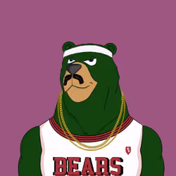 Beard Bear #458