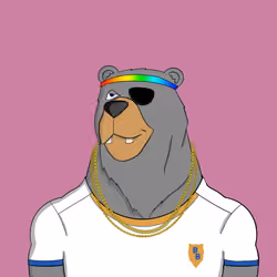 Beard Bear #504