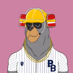 Beard Bear #384