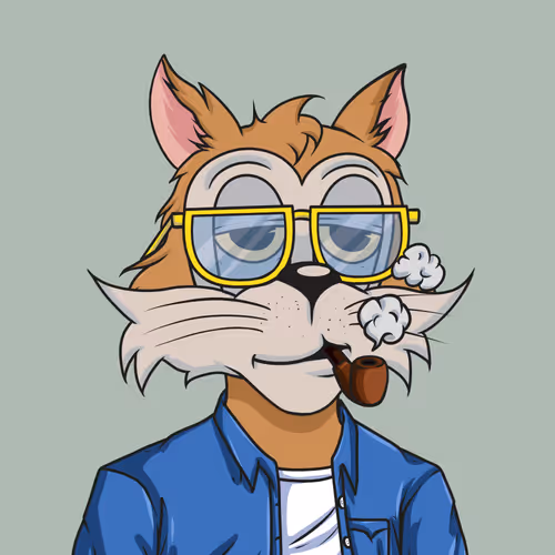 Social Dudes 3