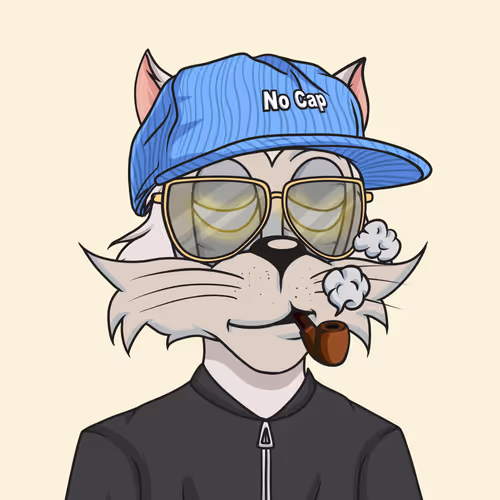 Social Dudes 3