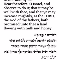 6869858469827978797789444854444851