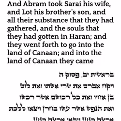 71697869837383444950444853