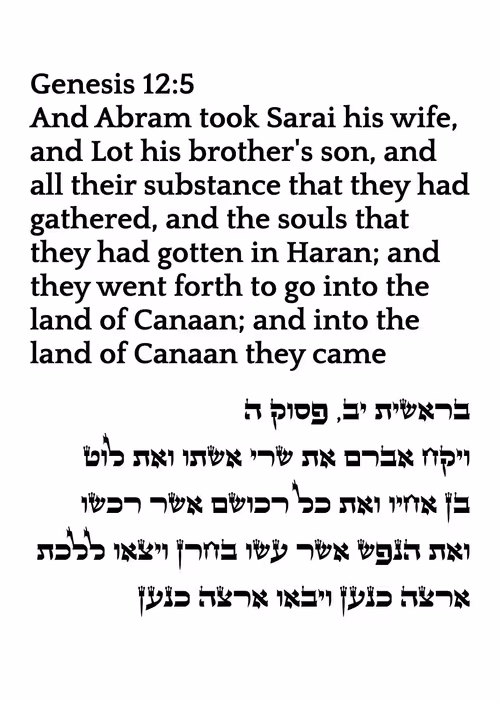 Item #71697869837383444950444853 Media