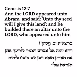 71697869837383444950444855