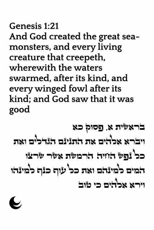 Item #71697869837383444849445049 Media