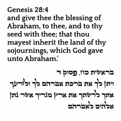 71697869837383445056444852