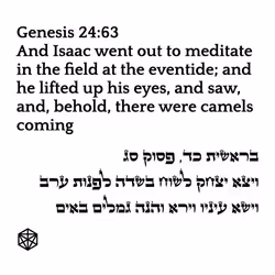 71697869837383445052445451