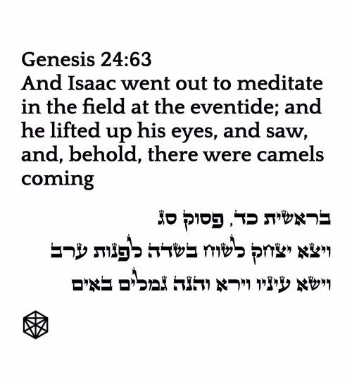 Item #71697869837383445052445451 Media