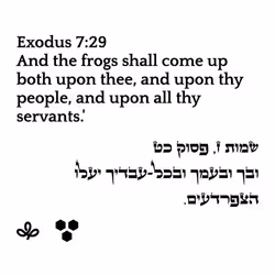 698879688583444855445057