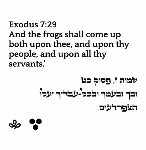 Item #698879688583444855445057 Media