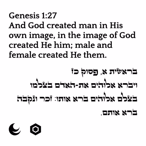 71697869837383444849445055