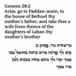 71697869837383445056444850