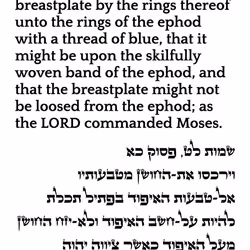 698879688583445157445049