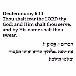 6869858469827978797789444854444951