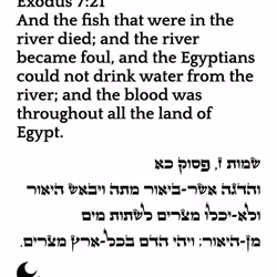 698879688583444855445049