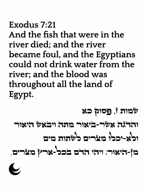 Item #698879688583444855445049 Media