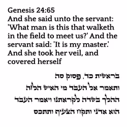 71697869837383445052445453