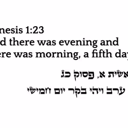 71697869837383444849445051