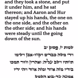 698879688583444955444950