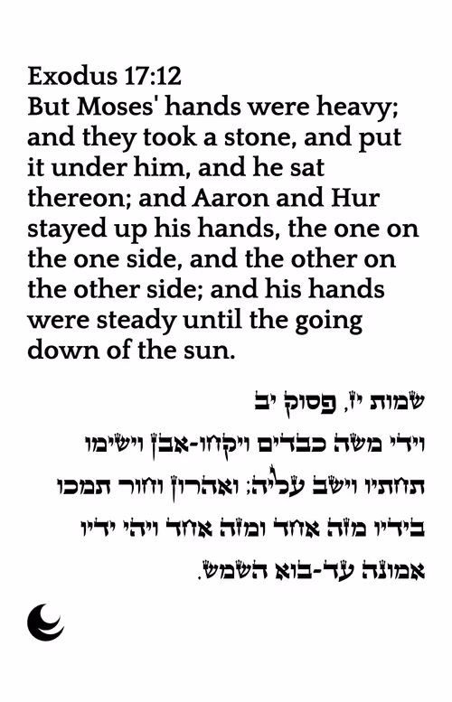 Item #698879688583444955444950 Media