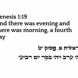 71697869837383444849444957