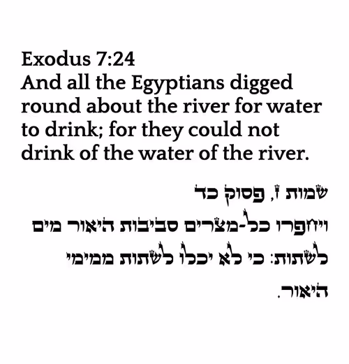 Item #698879688583444855445052 Media