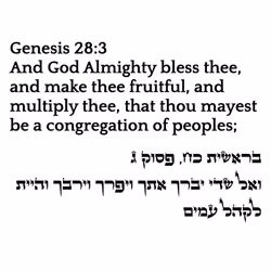 71697869837383445056444851