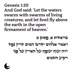 71697869837383444849445048