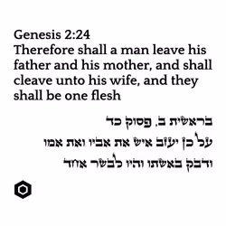 71697869837383444850445052