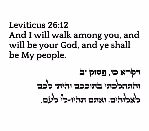 Item #766986738473678583445054444950 Media