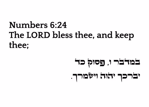 Item #78857766698283444854445052 Media