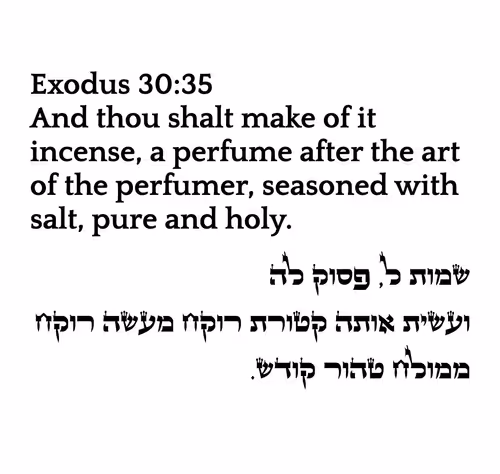 Item #698879688583445148445153 Media