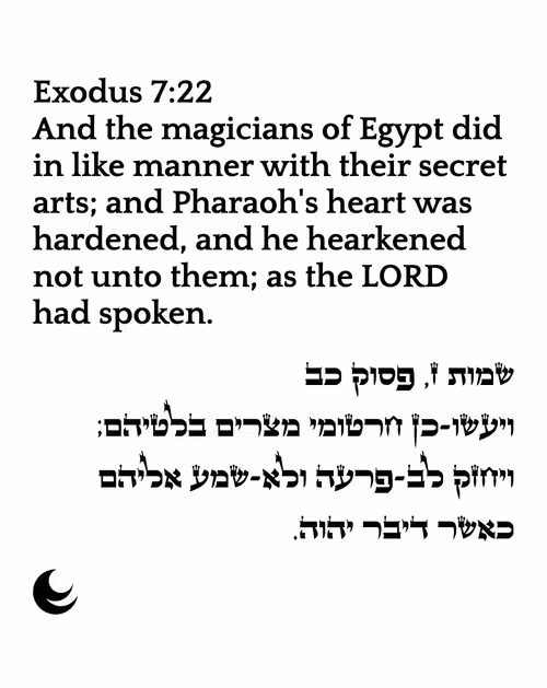 Item #698879688583444855445050 Media