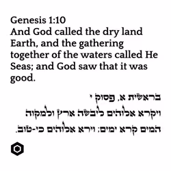 71697869837383444849444948