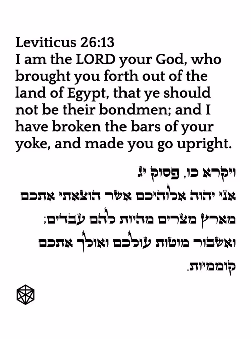 Item #766986738473678583445054444951 Media