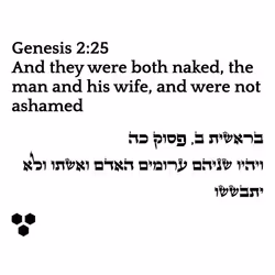 71697869837383444850445053