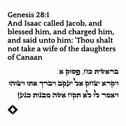 71697869837383445056444849