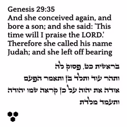 71697869837383445057445153