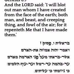 71697869837383444854444855