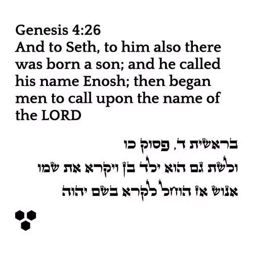 71697869837383444852445054