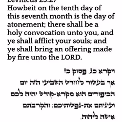 766986738473678583445051445055