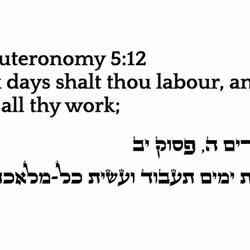 6869858469827978797789444853444950