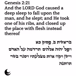 71697869837383444850445049