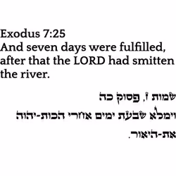 698879688583444855445053