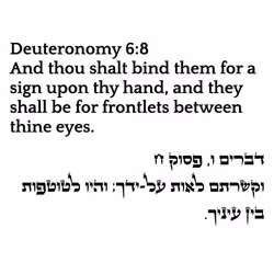 6869858469827978797789444854444856