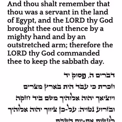 6869858469827978797789444853444952