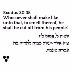 698879688583445148445156